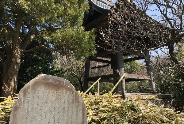 宝戒寺の写真・動画_image_499148