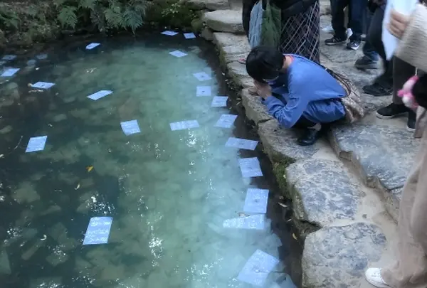 八重垣神社の写真・動画_image_500158