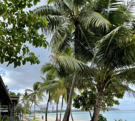 Tumon beach（タモン・ビーチ）の写真・動画_image_500229