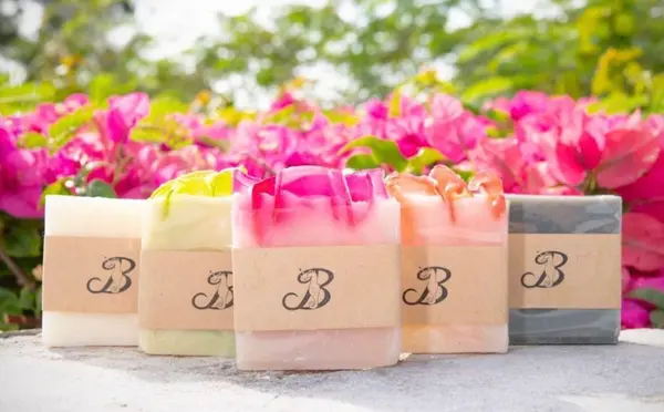 バンビーノ Bambinoの写真・動画_image_500295