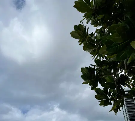 Tumon beach（タモン・ビーチ）の写真・動画_image_500298