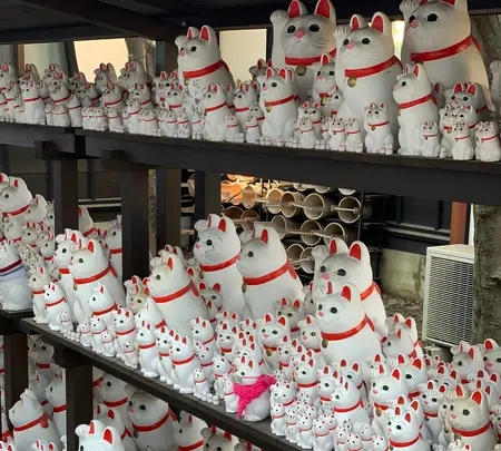 豪徳寺の写真・動画_image_500627