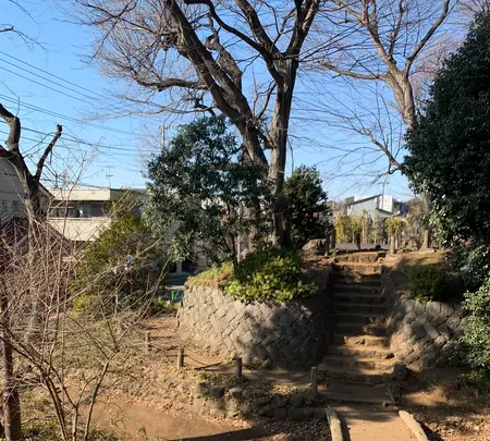 世田谷城址公園の写真・動画_image_500628