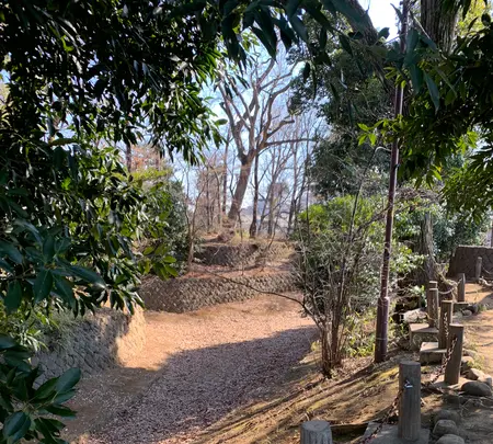 世田谷城址公園の写真・動画_image_500629