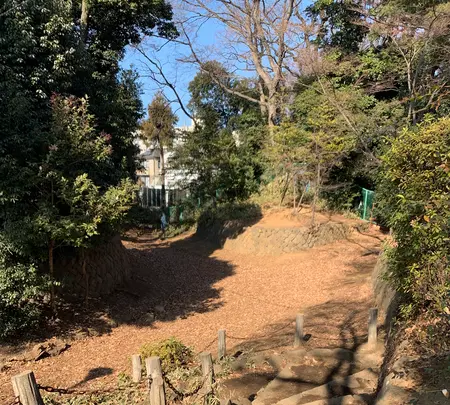 世田谷城址公園の写真・動画_image_500630