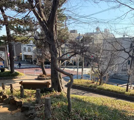 世田谷城址公園の写真・動画_image_500631