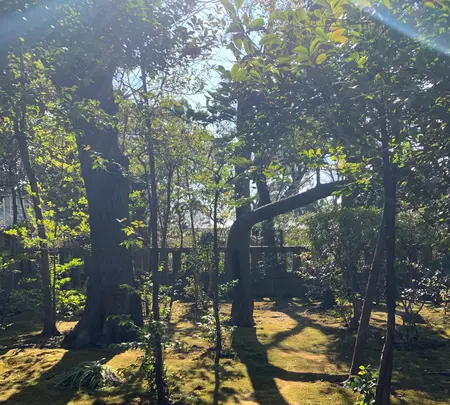 松陰神社の写真・動画_image_500636