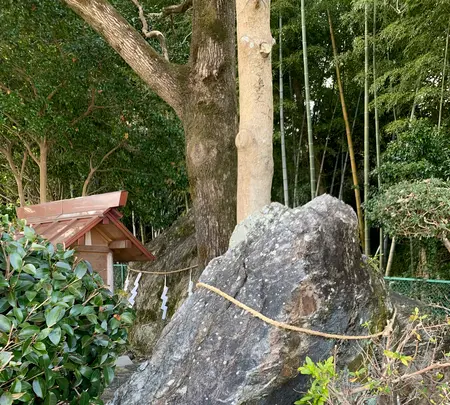 麻吉旅館の写真・動画_image_500650