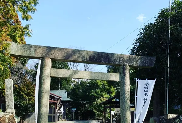 古市参宮街道の写真・動画_image_500655