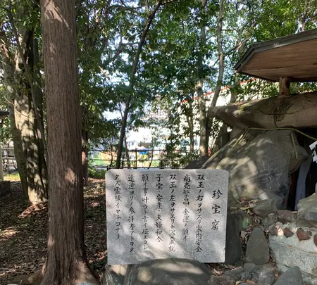 田縣神社の写真・動画_image_500676