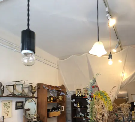 doremifaの写真・動画_image_500870