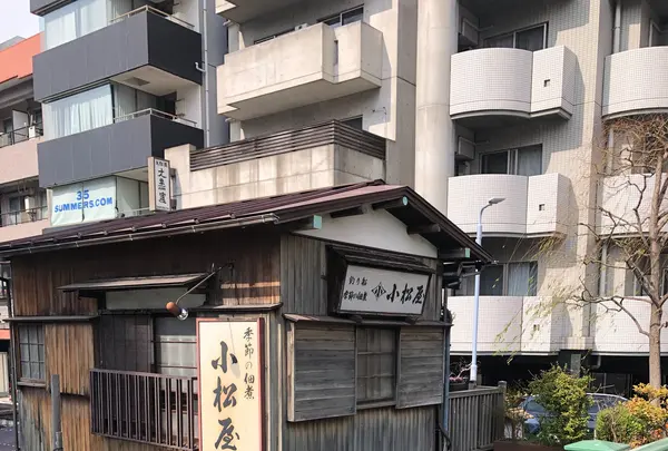 柳橋の写真・動画_image_500889