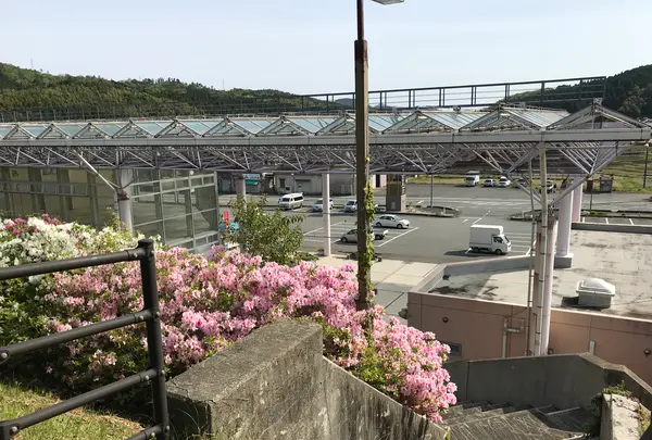 道の駅 ハピネスふくえの写真・動画_image_500914