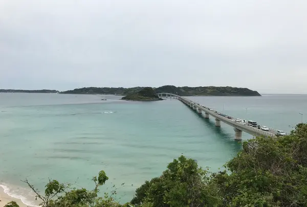 角島大橋 (つのしまおおはし)の写真・動画_image_500919