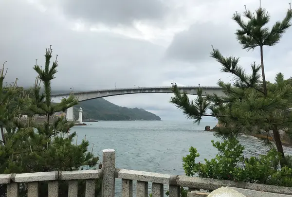 道の駅「上関海峡」の写真・動画_image_500944