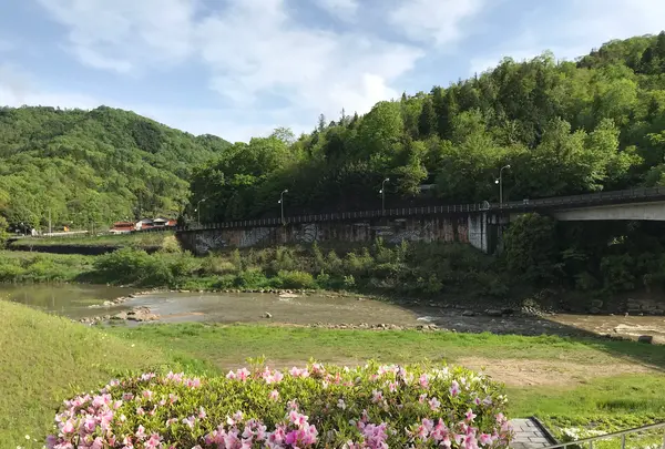 道の駅 よがんす白竜の写真・動画_image_500945
