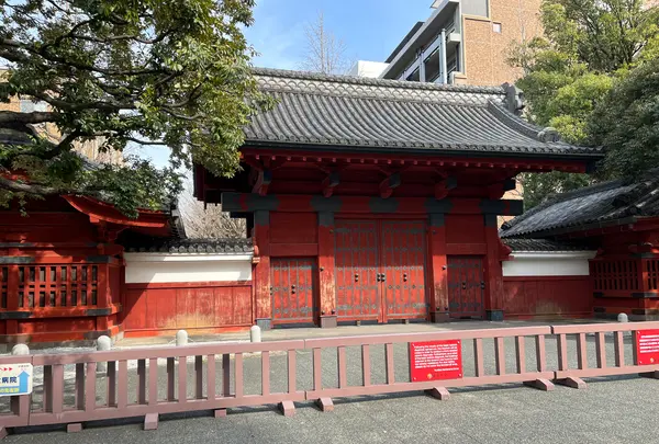 東大 赤門の写真・動画_image_501045