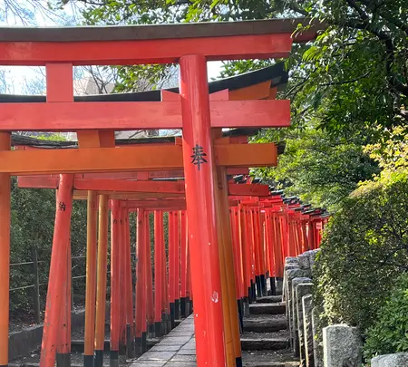 根津神社の写真・動画_image_501046