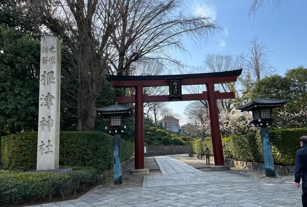 根津神社の写真・動画_image_501048