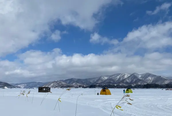 （株）ゴールドハウス目黒（桧原湖店）GOLD HOUSE MEGUROの写真・動画_image_501196