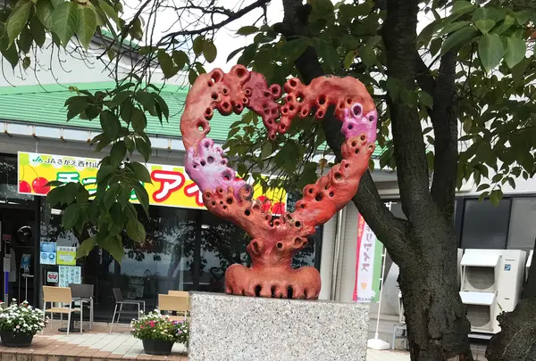 道の駅寒河江の写真・動画_image_501313