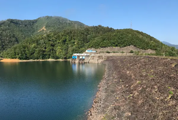 九頭竜湖の写真・動画_image_501424