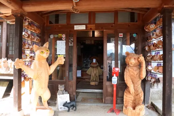 雲林寺（ネコ寺）の写真・動画_image_501910