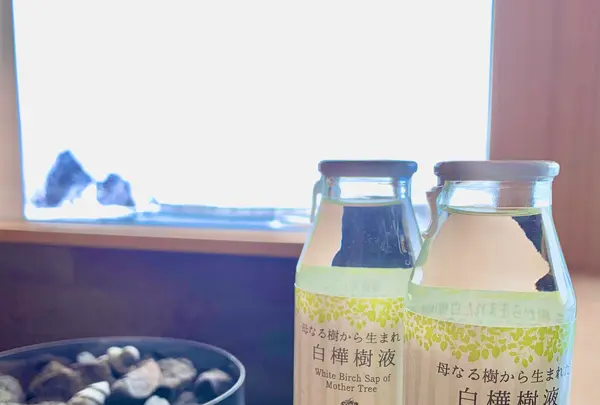 北こぶし知床 ホテル＆リゾートの写真・動画_image_501932