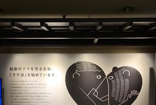 北こぶし知床 ホテル＆リゾートの写真・動画_image_501937