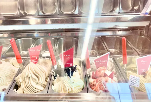 Rimo HOKKAIDO 網走店（旧：リスの森）の写真・動画_image_501994