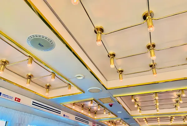 流氷観光砕氷船おーろらの写真・動画_image_502007