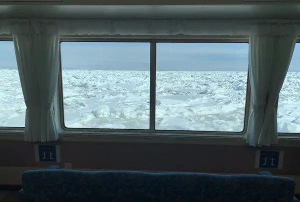 流氷観光砕氷船おーろらの写真・動画_image_502008