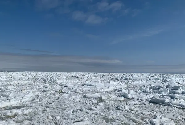 流氷観光砕氷船おーろらの写真・動画_image_502009