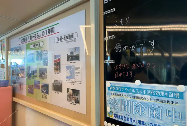 流氷観光砕氷船おーろらの写真・動画_image_502011