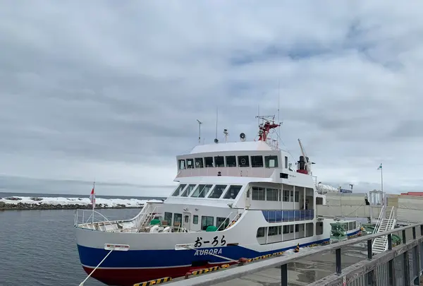 流氷観光砕氷船おーろらの写真・動画_image_502014