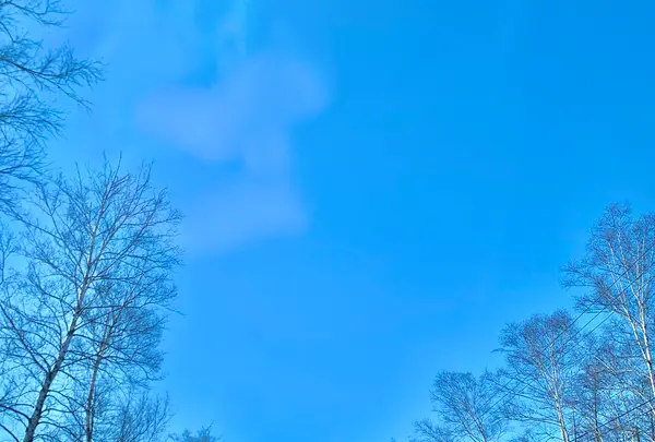 帯広空港（とかち帯広空港）の写真・動画_image_502039