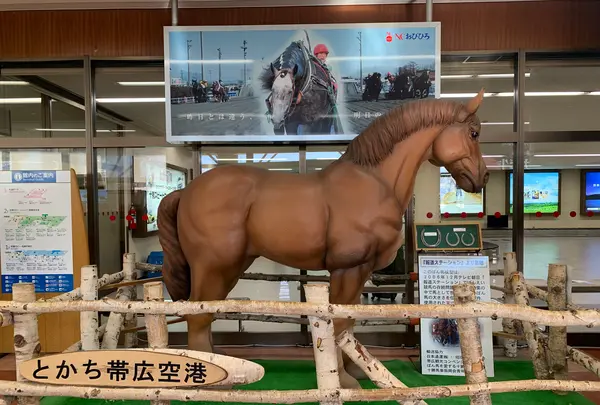 帯広空港（とかち帯広空港）の写真・動画_image_502043