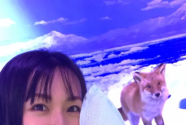 オホーツク流氷館の写真・動画_image_502055