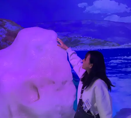 オホーツク流氷館の写真・動画_image_502060