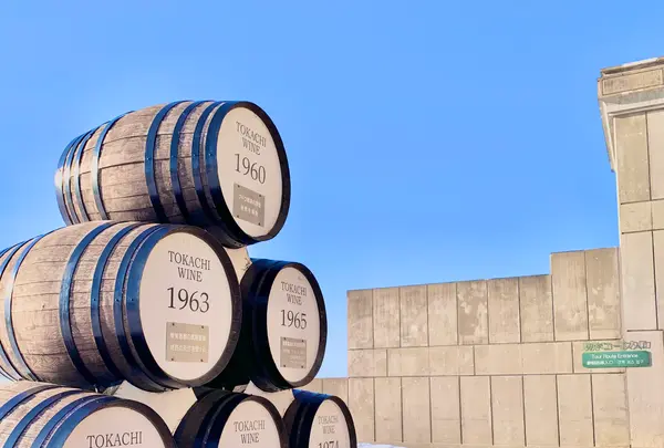 池田ワイン城の写真・動画_image_502104