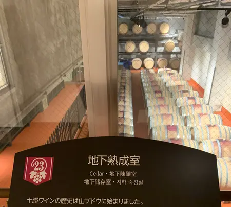 池田ワイン城の写真・動画_image_502113