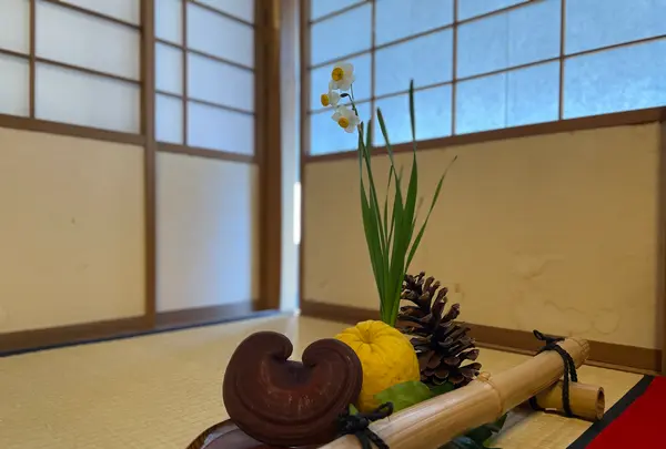 宇治市市営茶室対鳳庵の写真・動画_image_502372