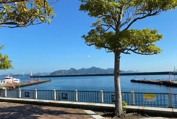 みなと交流センターレンタサイクルターミナルの写真・動画_image_502413