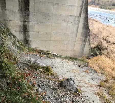 道の駅三野の写真・動画_image_502564