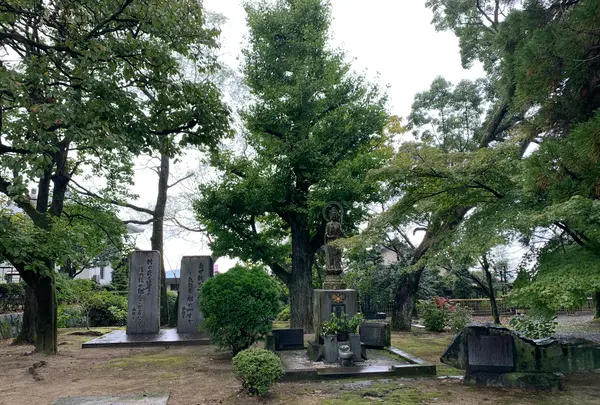 香園寺の写真・動画_image_502612