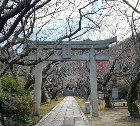 御手洗の町並みの写真・動画_image_502757