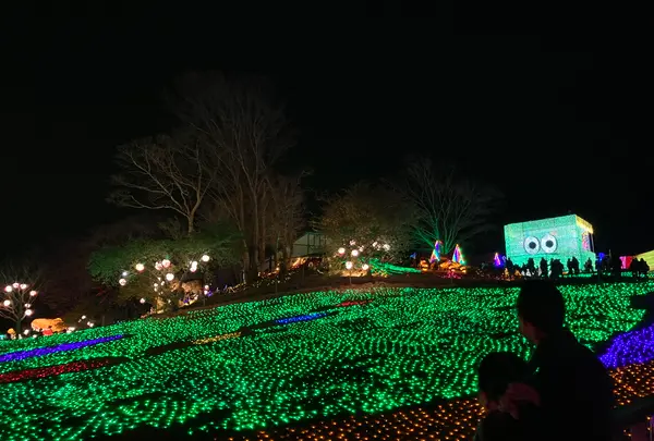 東京ドイツ村の写真・動画_image_502894
