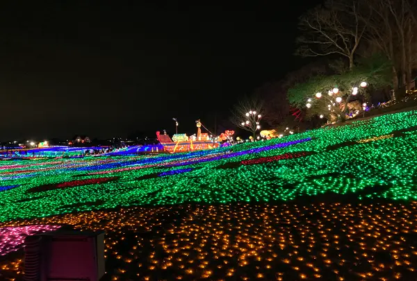 東京ドイツ村の写真・動画_image_502895