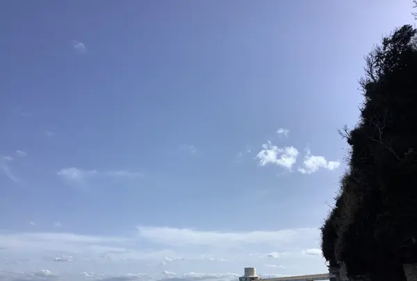 勝浦海中公園海中展望塔の写真・動画_image_502898