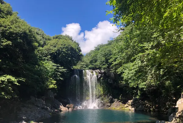 天帝淵の滝の写真・動画_image_502942
